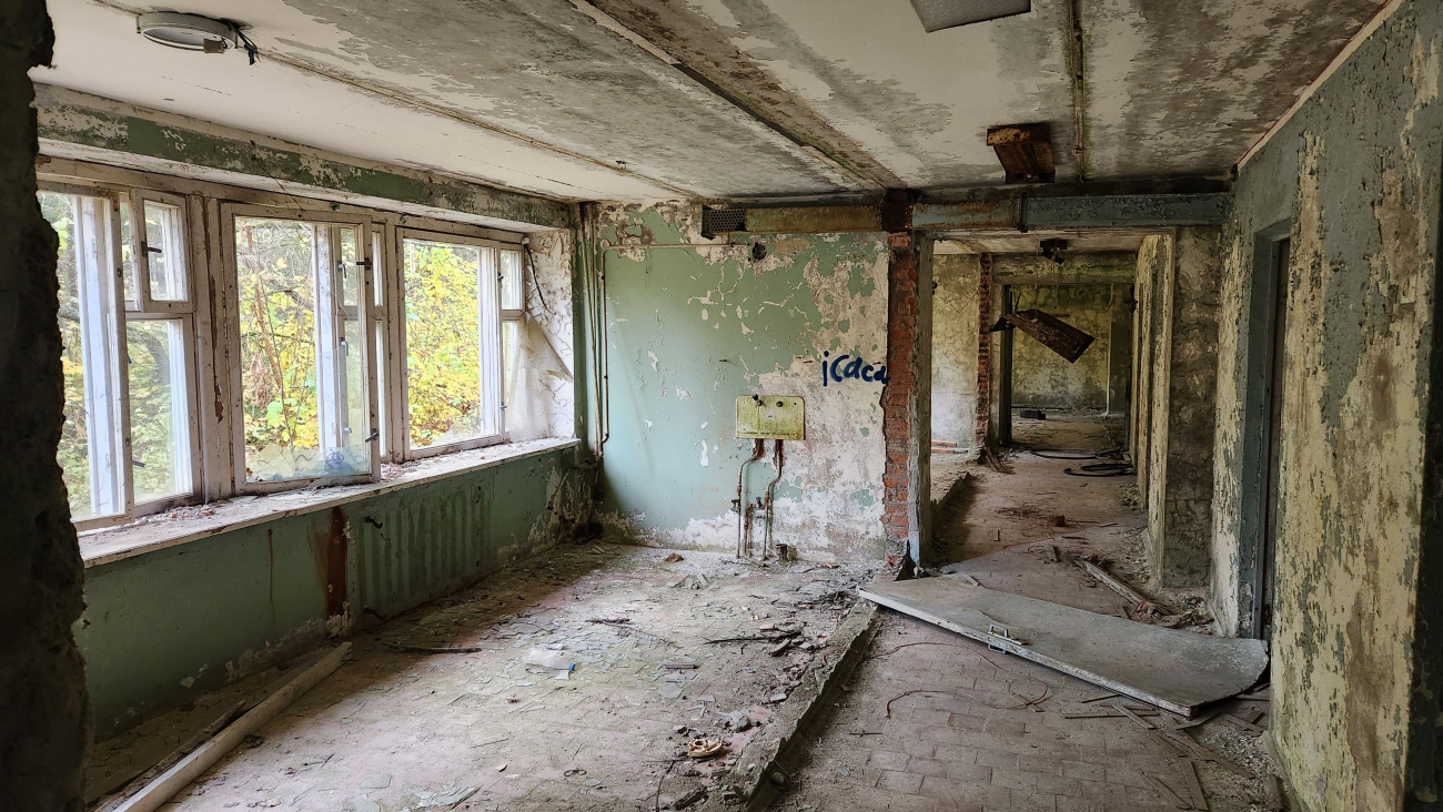 Дмитровский муниципальный округ, прочие н.п., дер. Горки, 8*