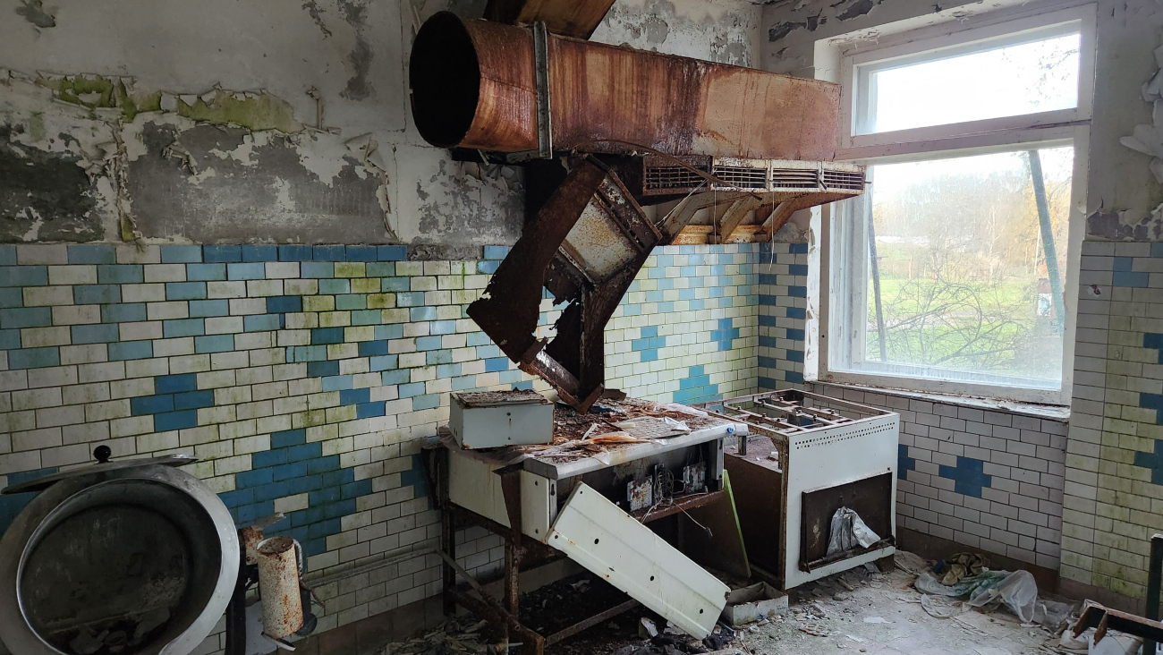 Дмитровский муниципальный округ, прочие н.п., дер. Горки, 1*