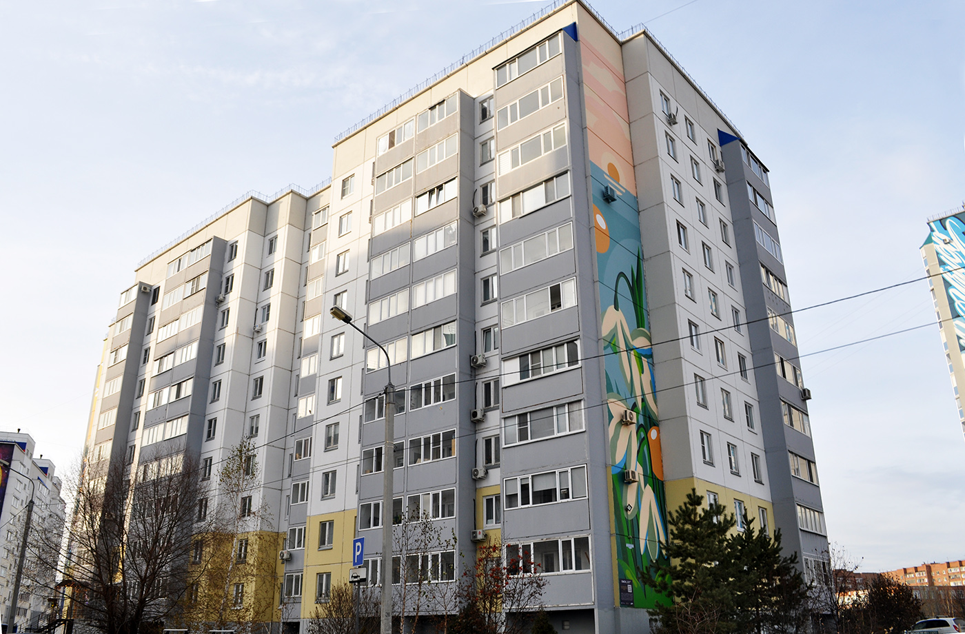 Omsk, 2-я Поселковая улица, 24 Omsk, 2-я Поселковая улица, 24