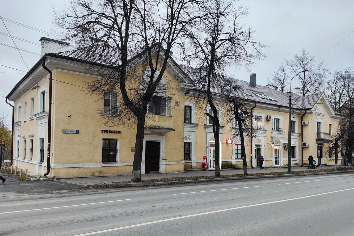 Псков, Улица Максима Горького, 29