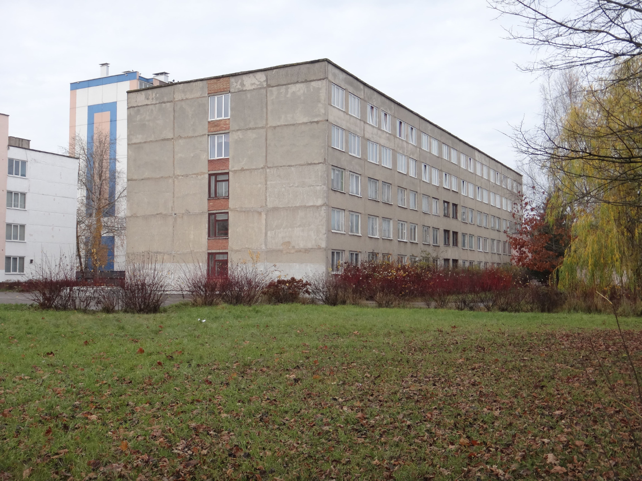 Вітебськ, Улица Петруся Бровки, 17А