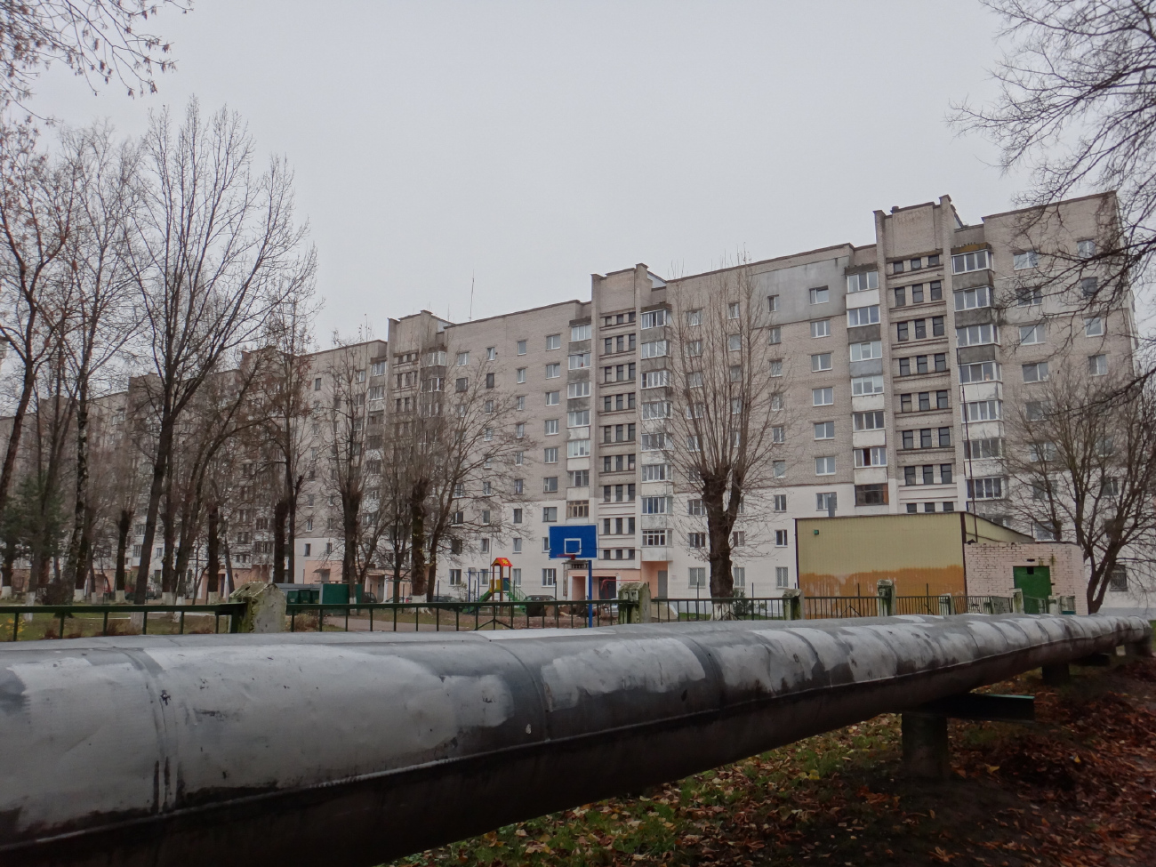 Витебск, Проспект Строителей, 6