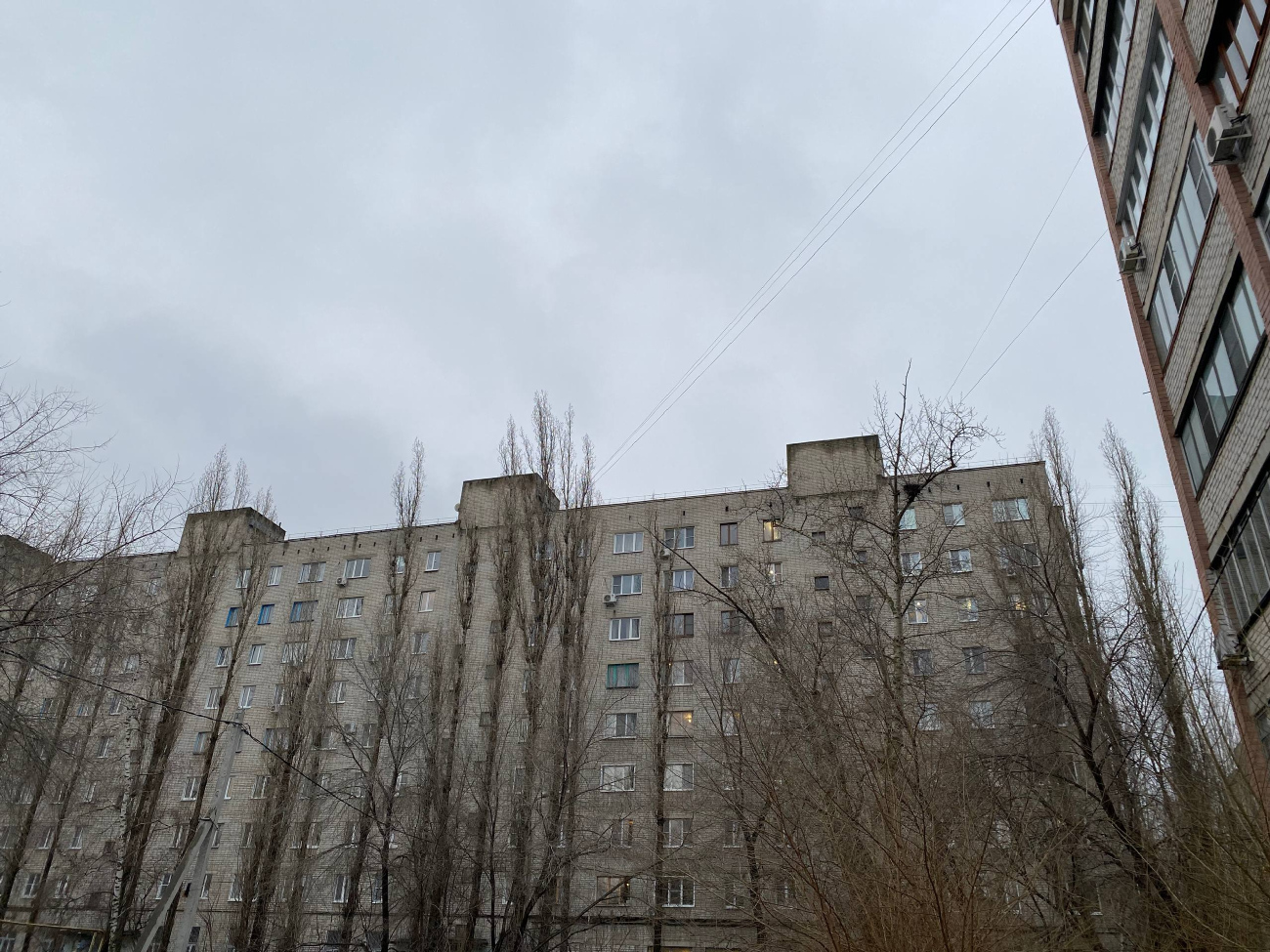 Воронеж, Улица 25 Января, 50