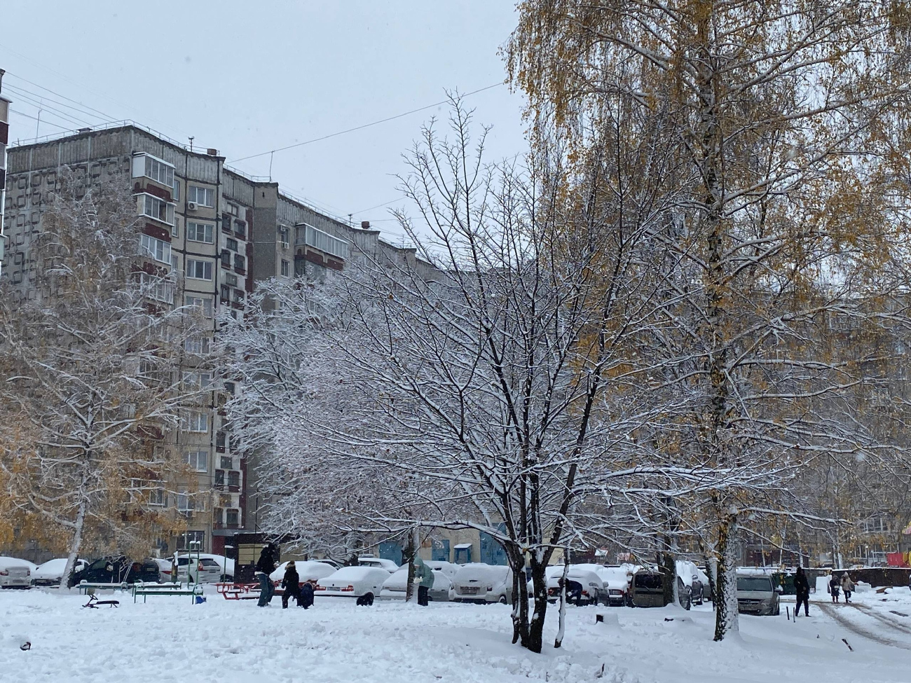 Липецк, Улица Меркулова, 24