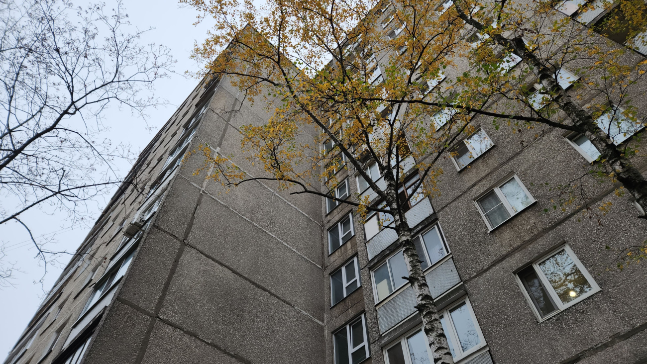 Жуковский, Улица Менделеева, 13