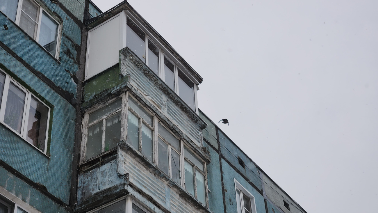 Вологда, Улица Щетинина, 64А