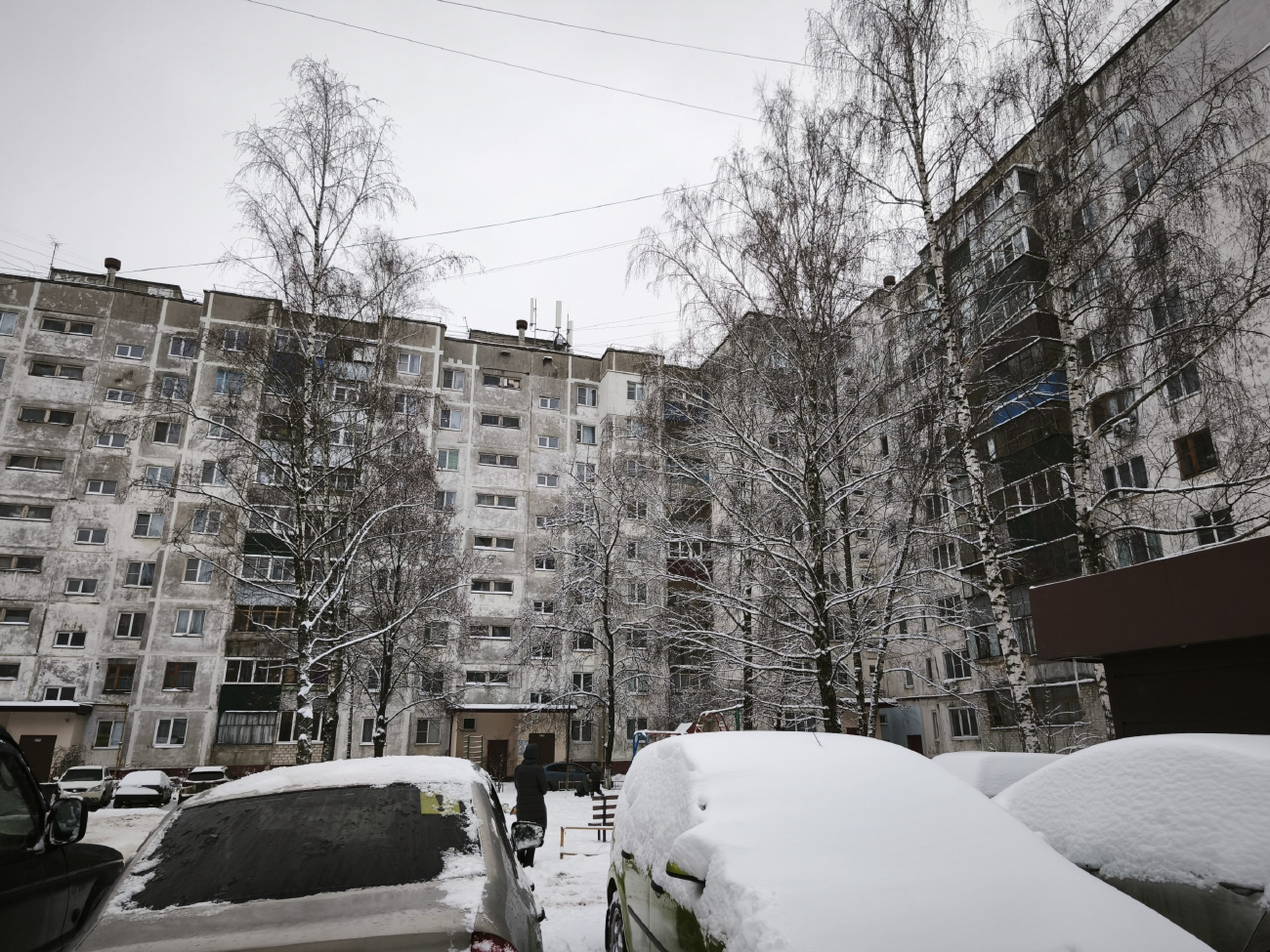 Курск, Проспект Дружбы, 10