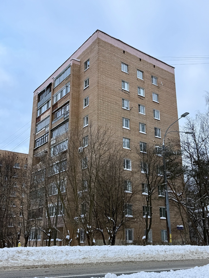 Пушкино, Улица 50 лет Комсомола, 19