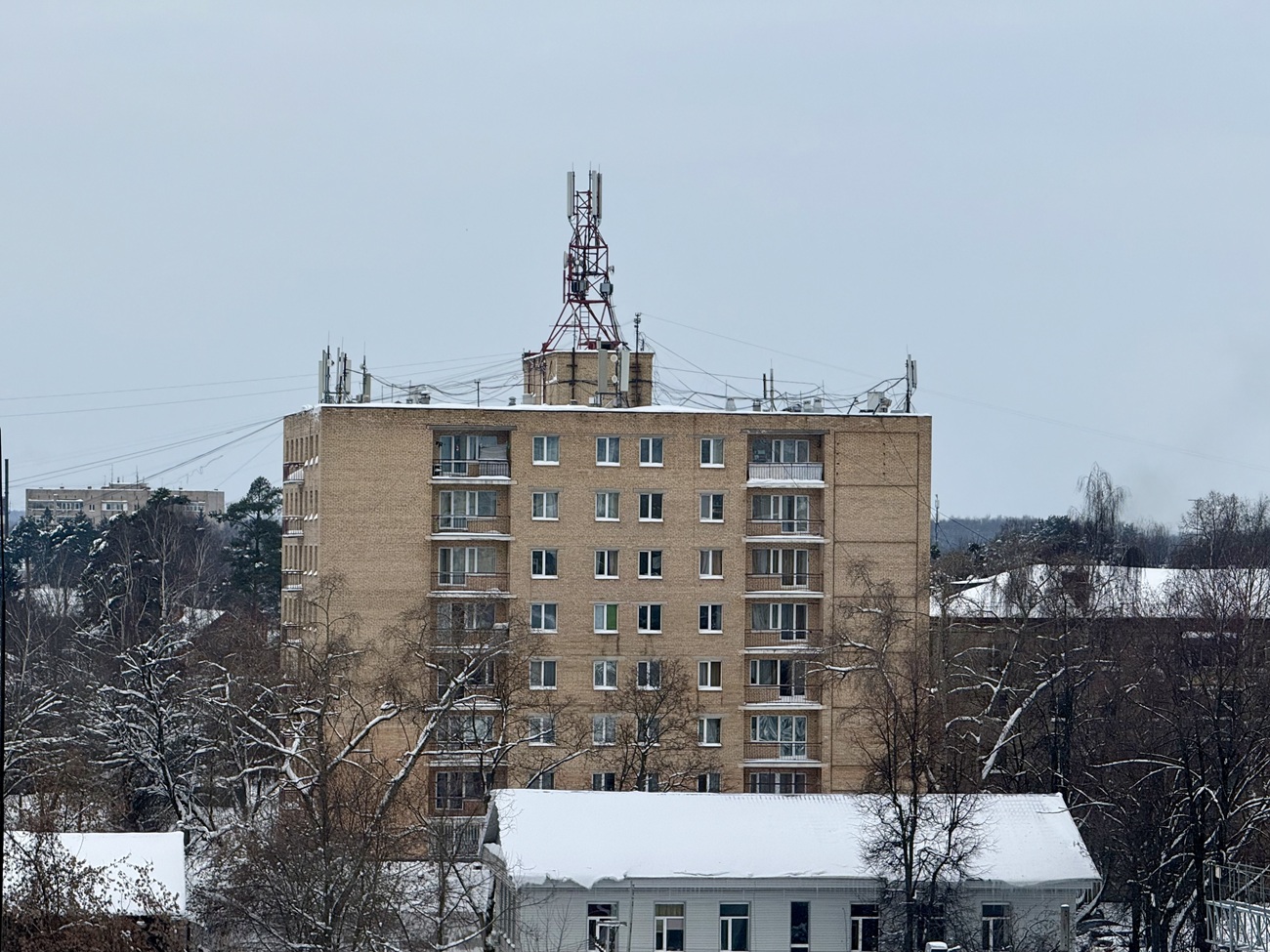 Пушкино, Улица Лесная, 5