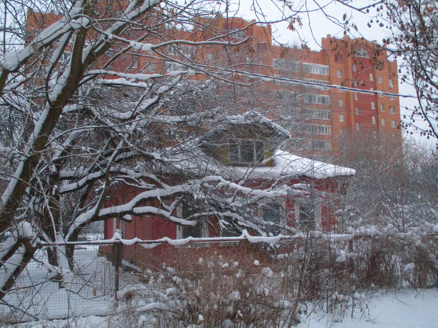 Щёлково, Улица Разина, 11