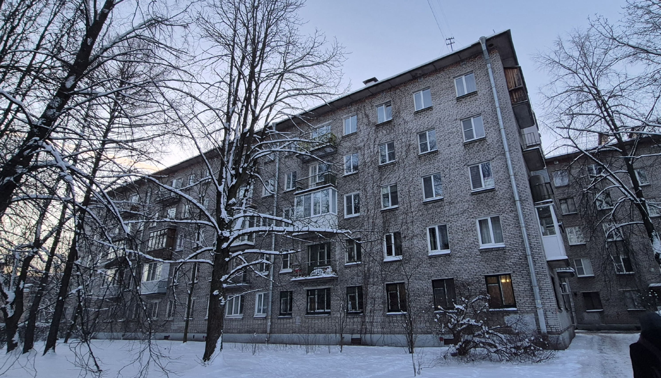 Санкт-Петербург, Дибуновская улица, 47