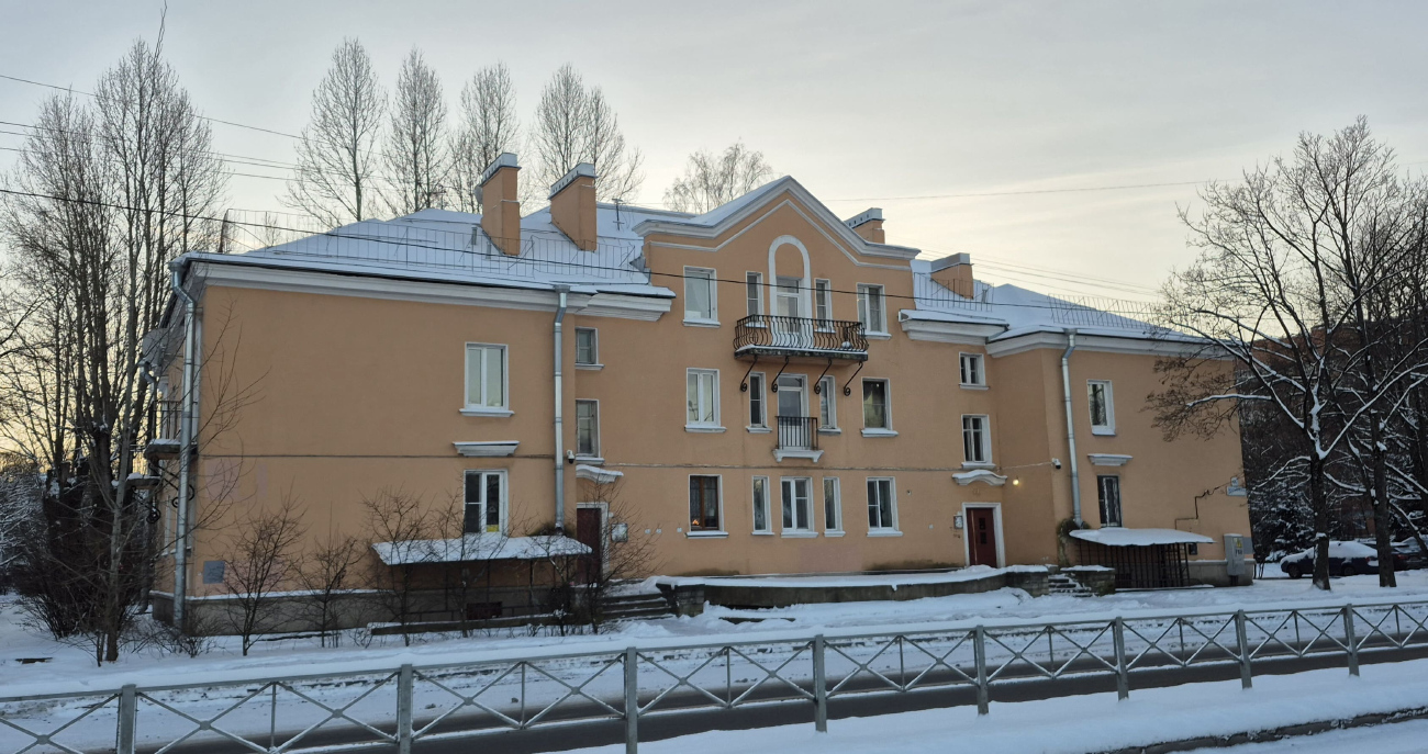 Санкт-Петербург, Школьная улица, 46