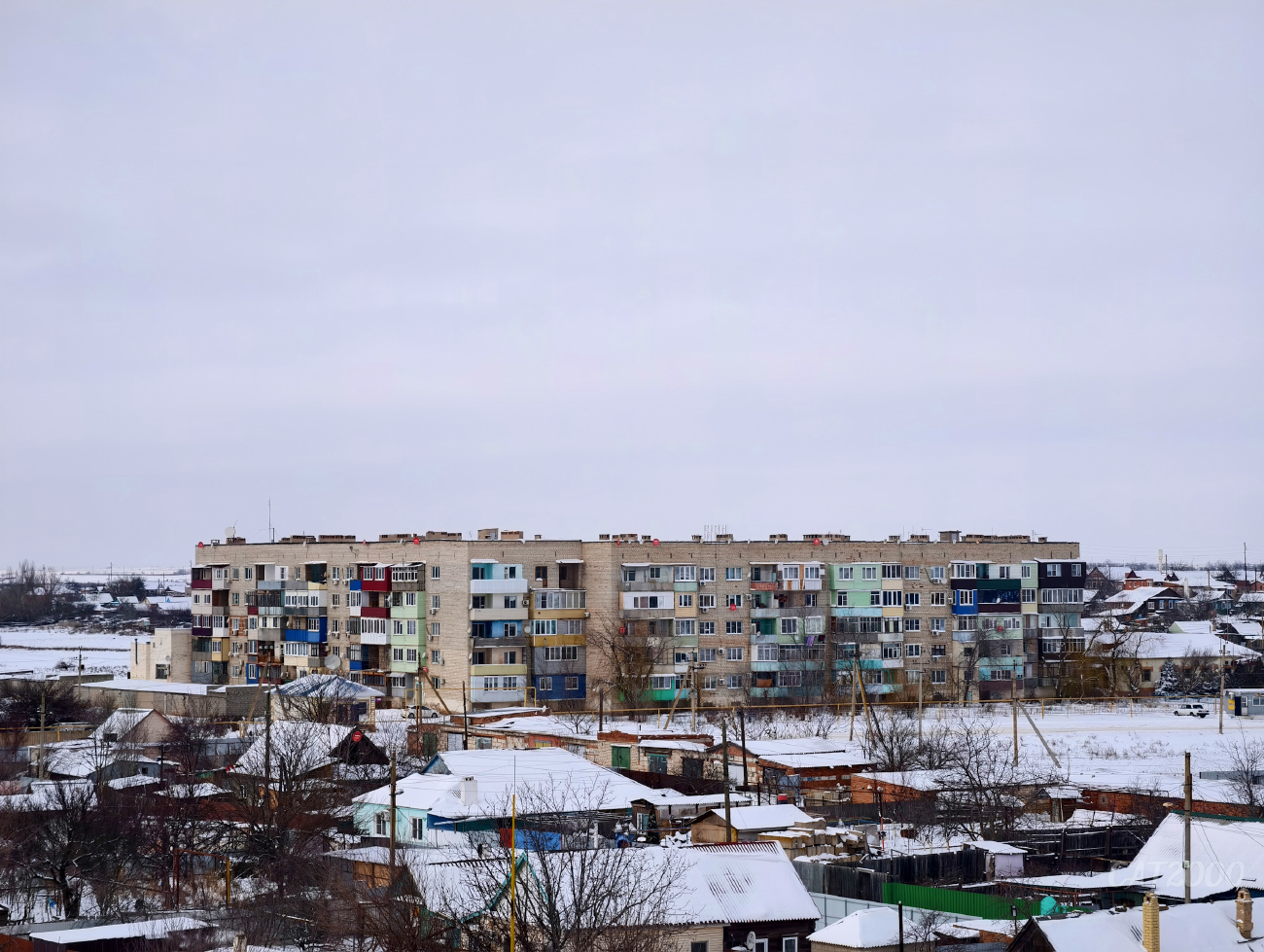 Оранжереи, Улица Чкалова, 62; Улица Чкалова, 62 корп. 1