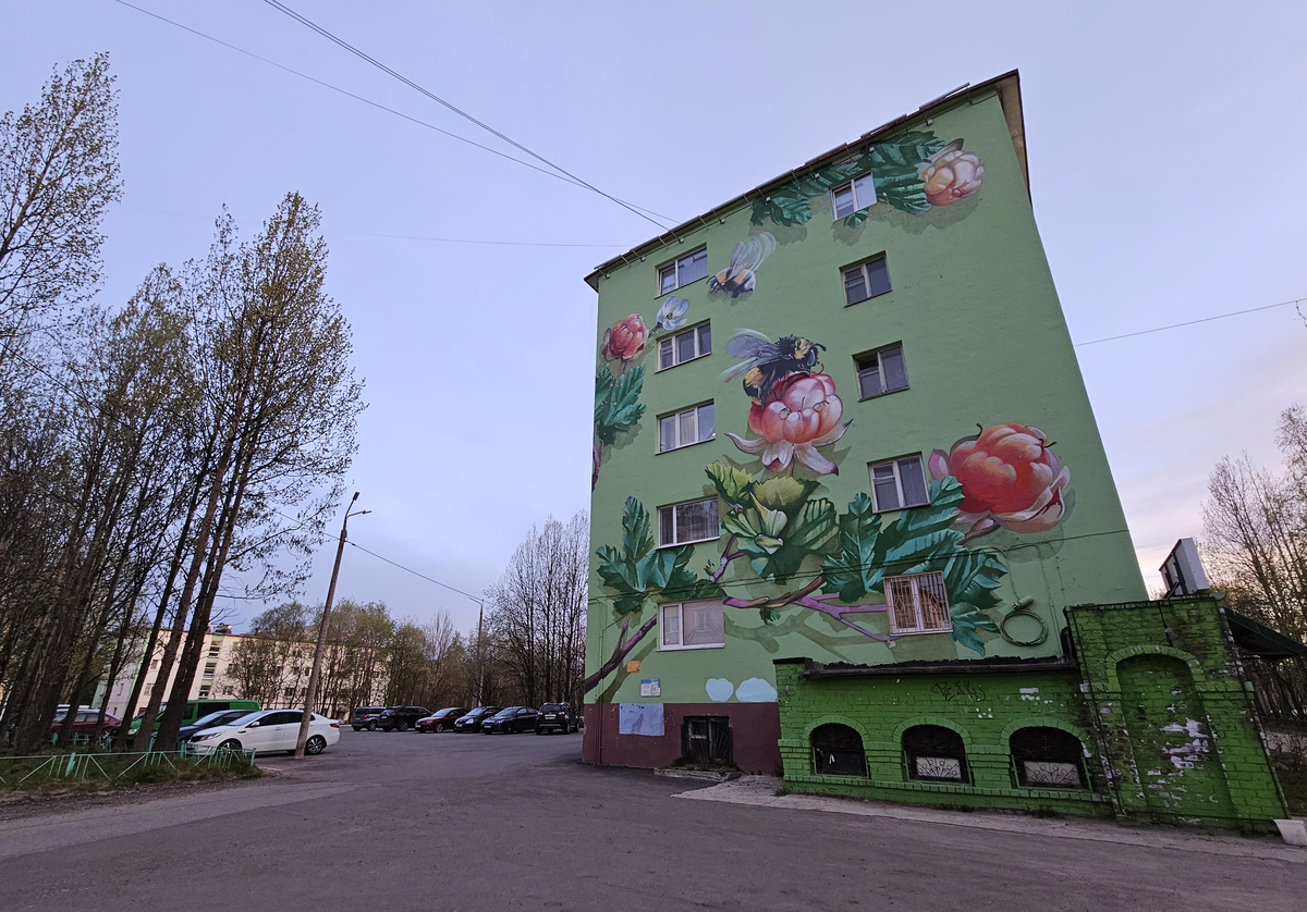 Мончегорск, Проспект Металлургов, 39