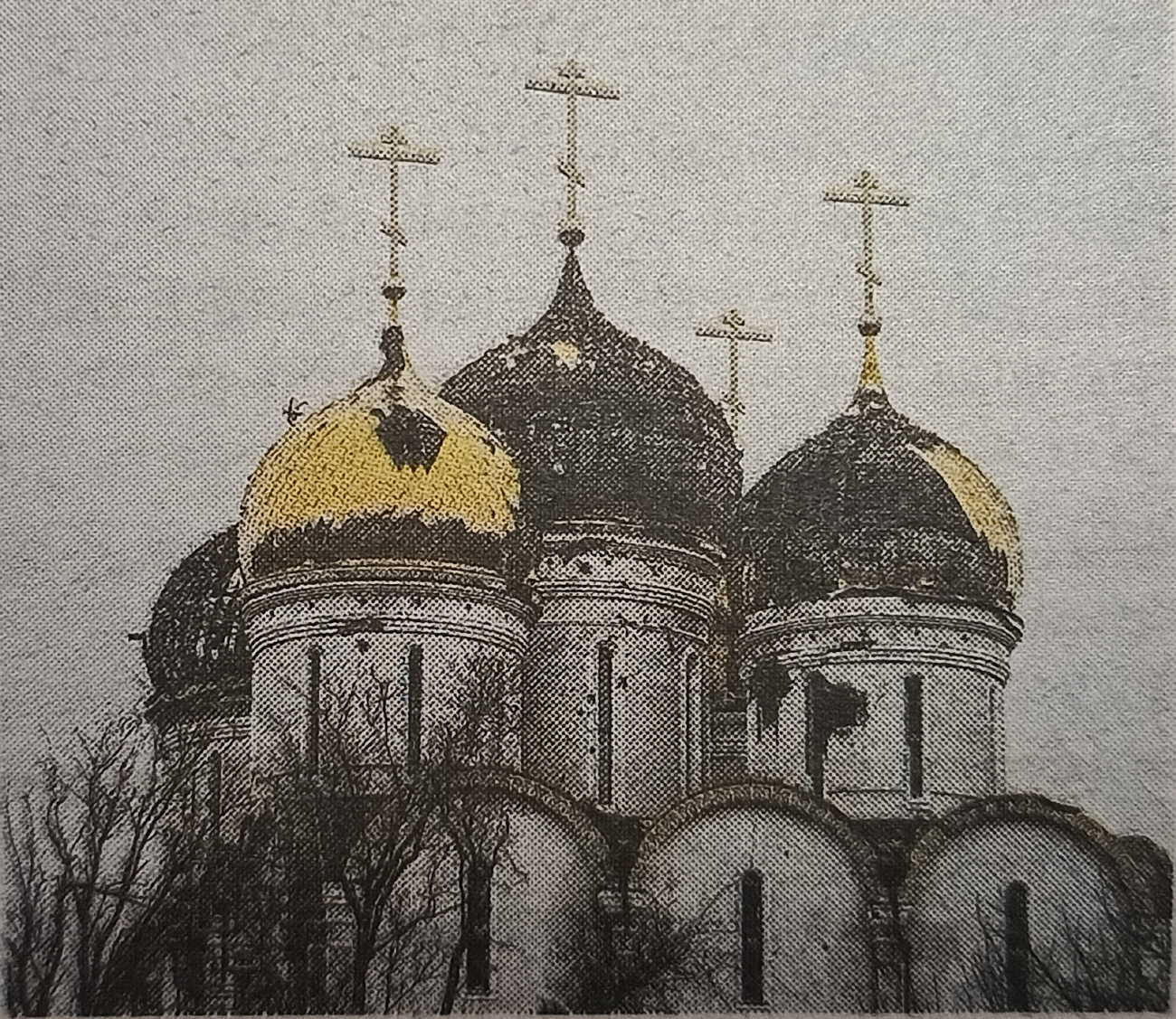 Волновахский район, прочие н.п., с. Никольское, Васильковая улица, 35*