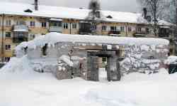 Мирный, Улица Неделина*