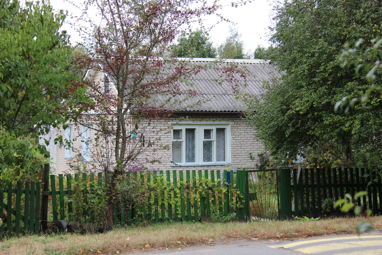 Новый Двор, Центральная улица, 4А