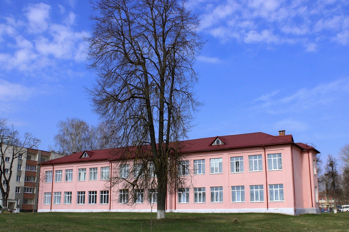 Хотимск, Зелёная улица, 2
