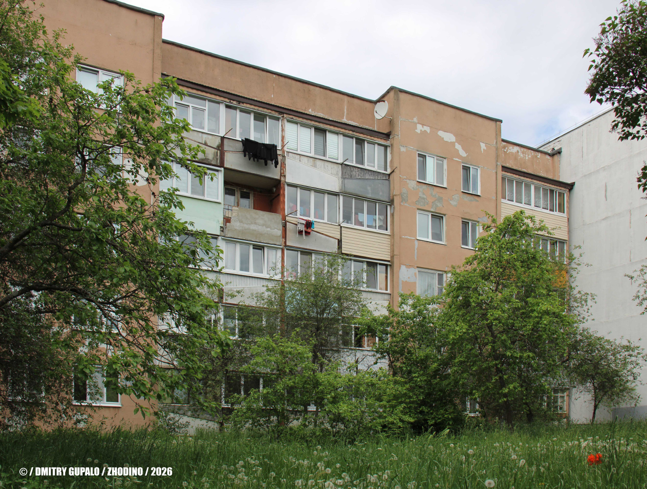 Жодино, Советская улица, 37