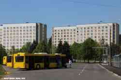 12381 КБ