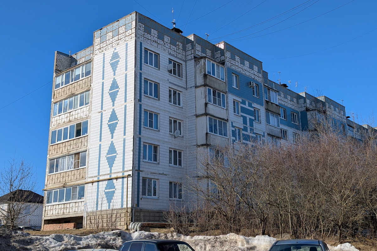 Сергиево-Посадский городской округ, прочие н.п., с. Мишутино, 21