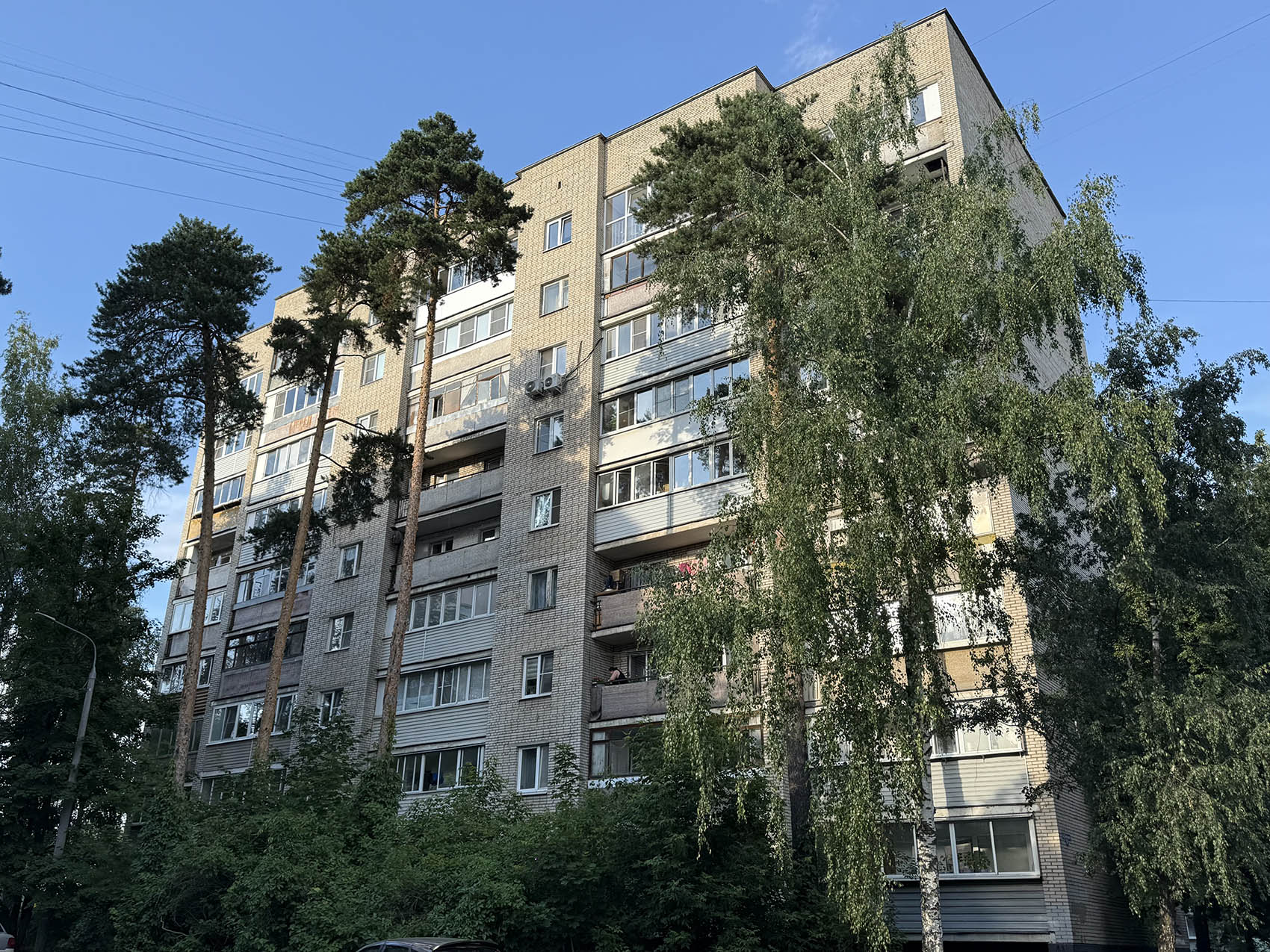 Монино, Улица Генерала Дементьева, 11