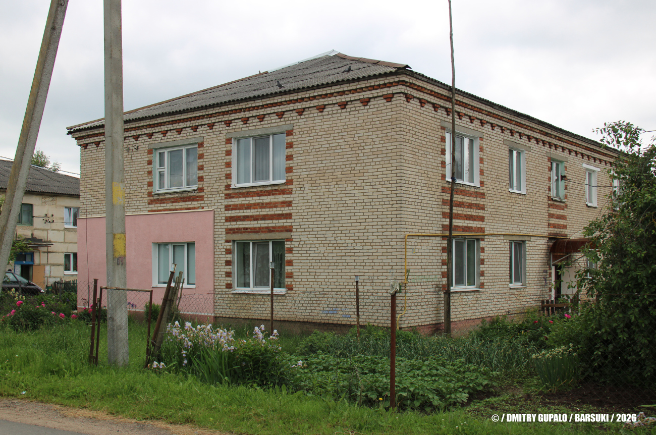 Barsuki, Центральная улица, 7