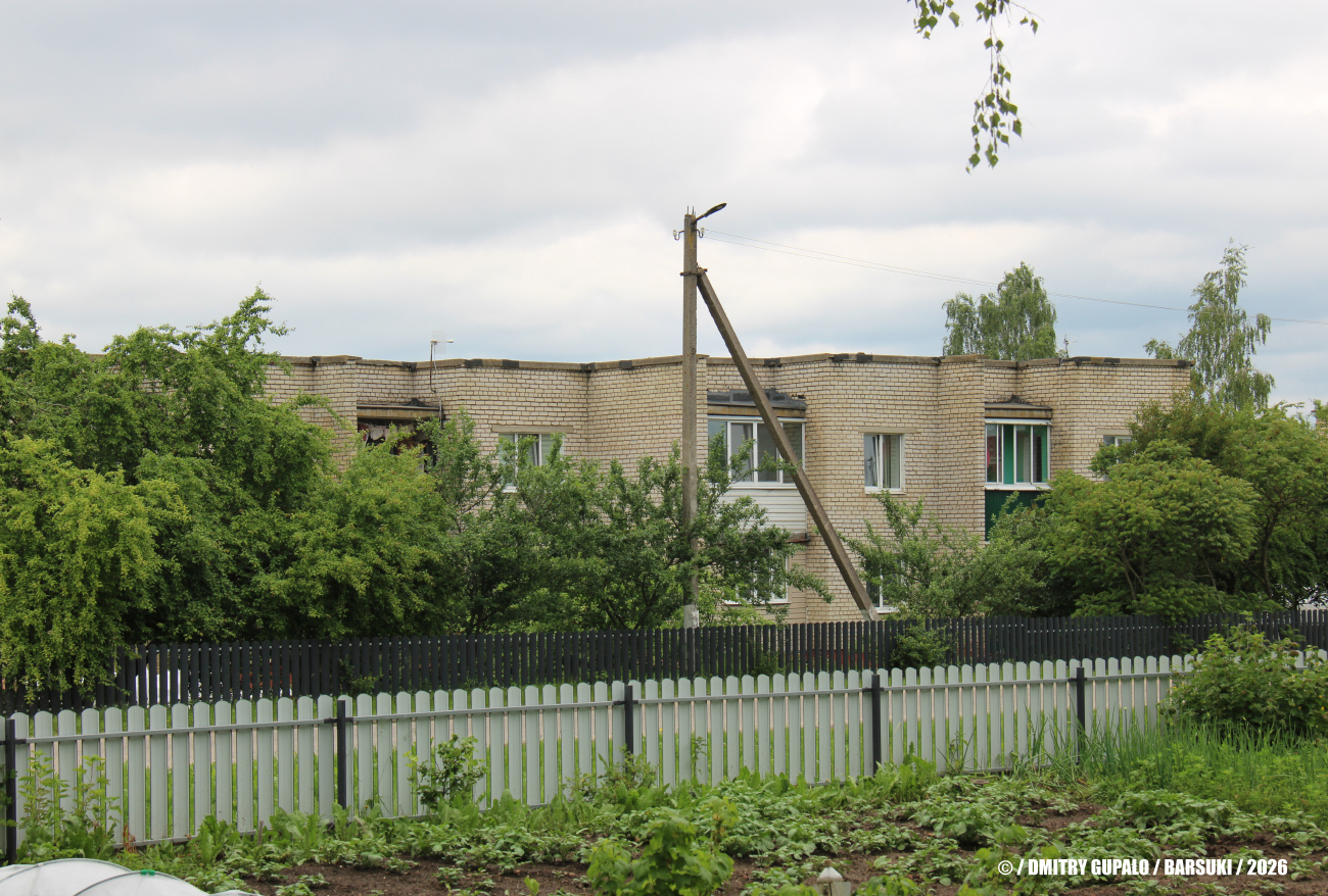 Барсуки, Центральная улица, 19