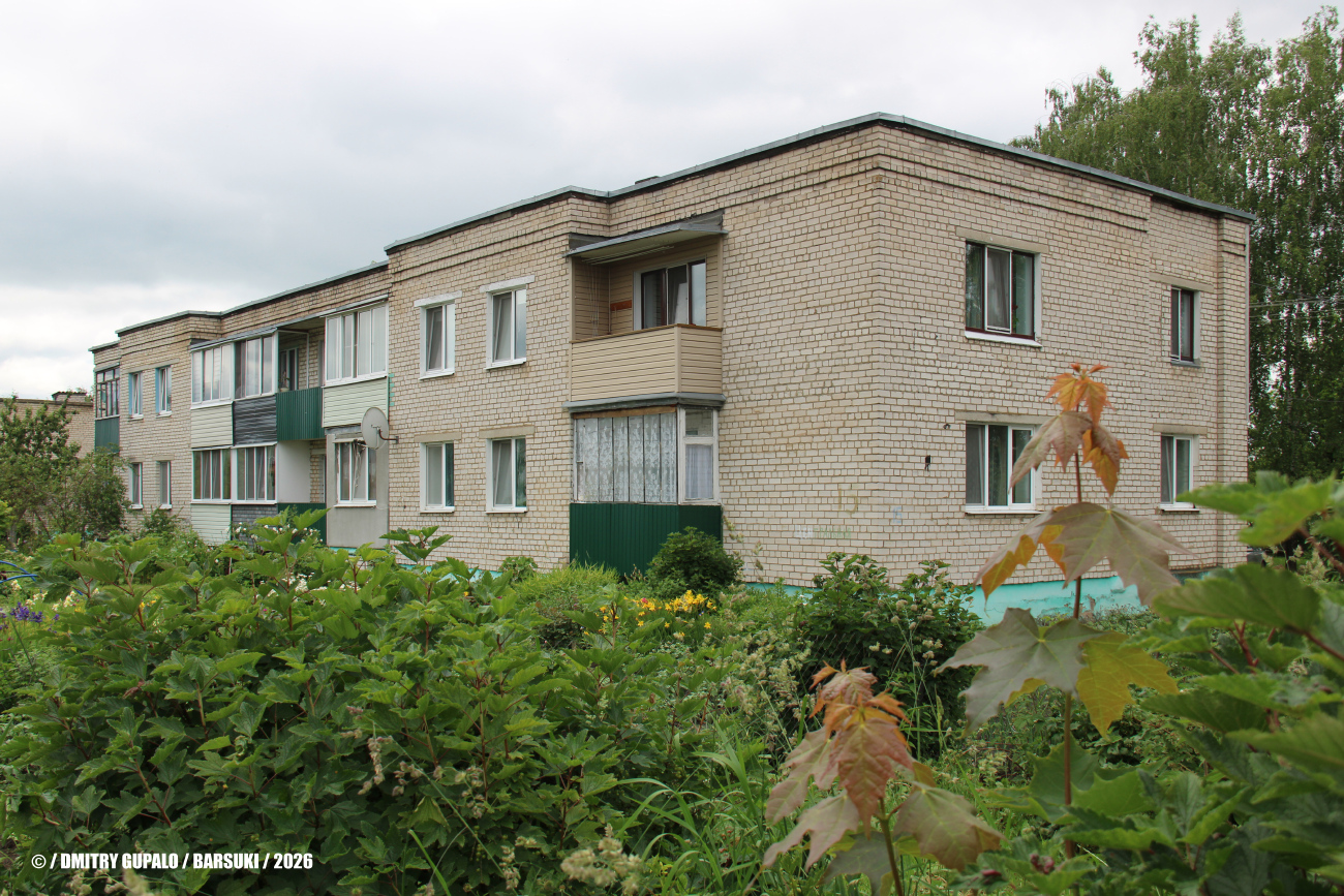 Барсуки, Центральная улица, 15