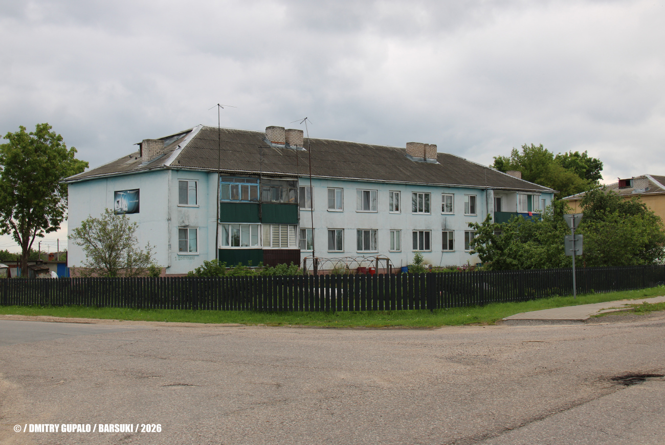 Барсуки, Центральная улица, 1