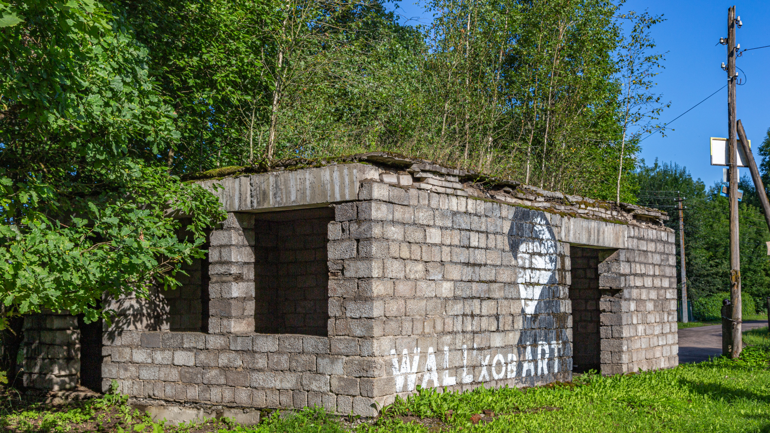 Волхов, Улица Чапаева, *