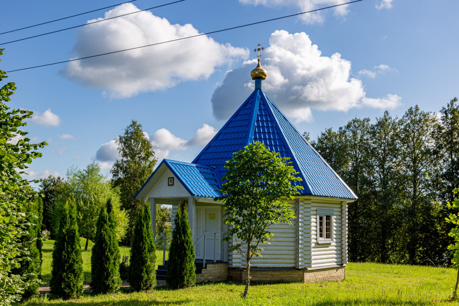 Волхов, Зелёная улица, 8