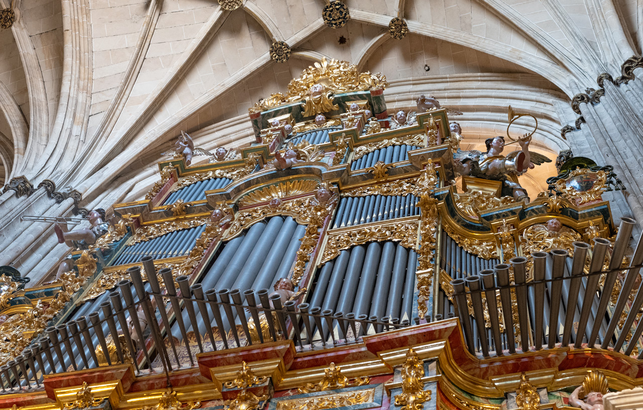 Саламанка, Catedral de la Asunción de la Virgen