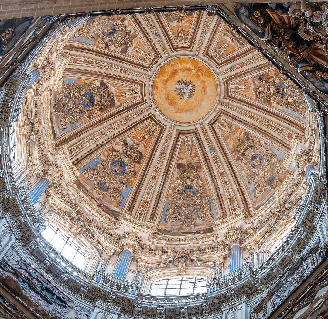 Саламанка, Catedral de la Asunción de la Virgen