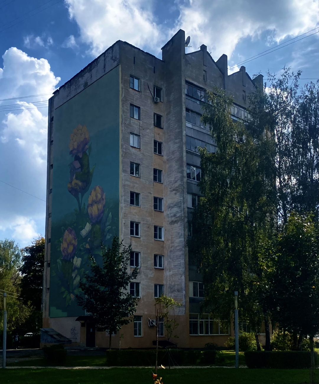 Нижний Новгород, Улица Черняховского, 9А