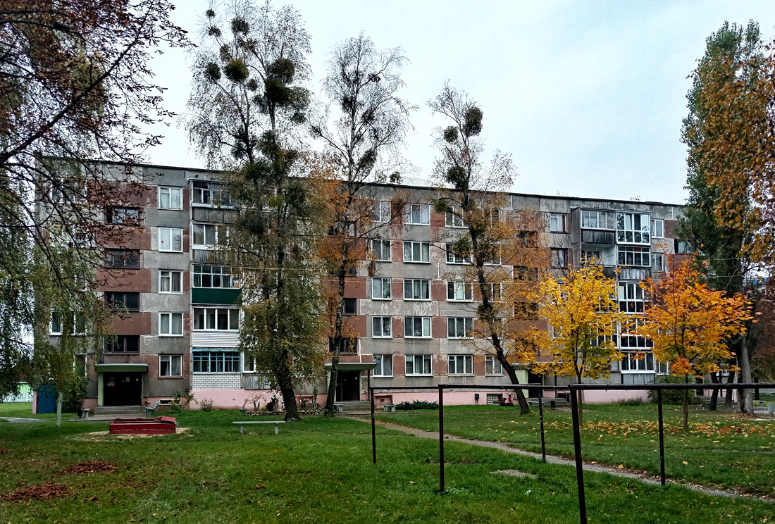 Пинск, Брестская улица, 91